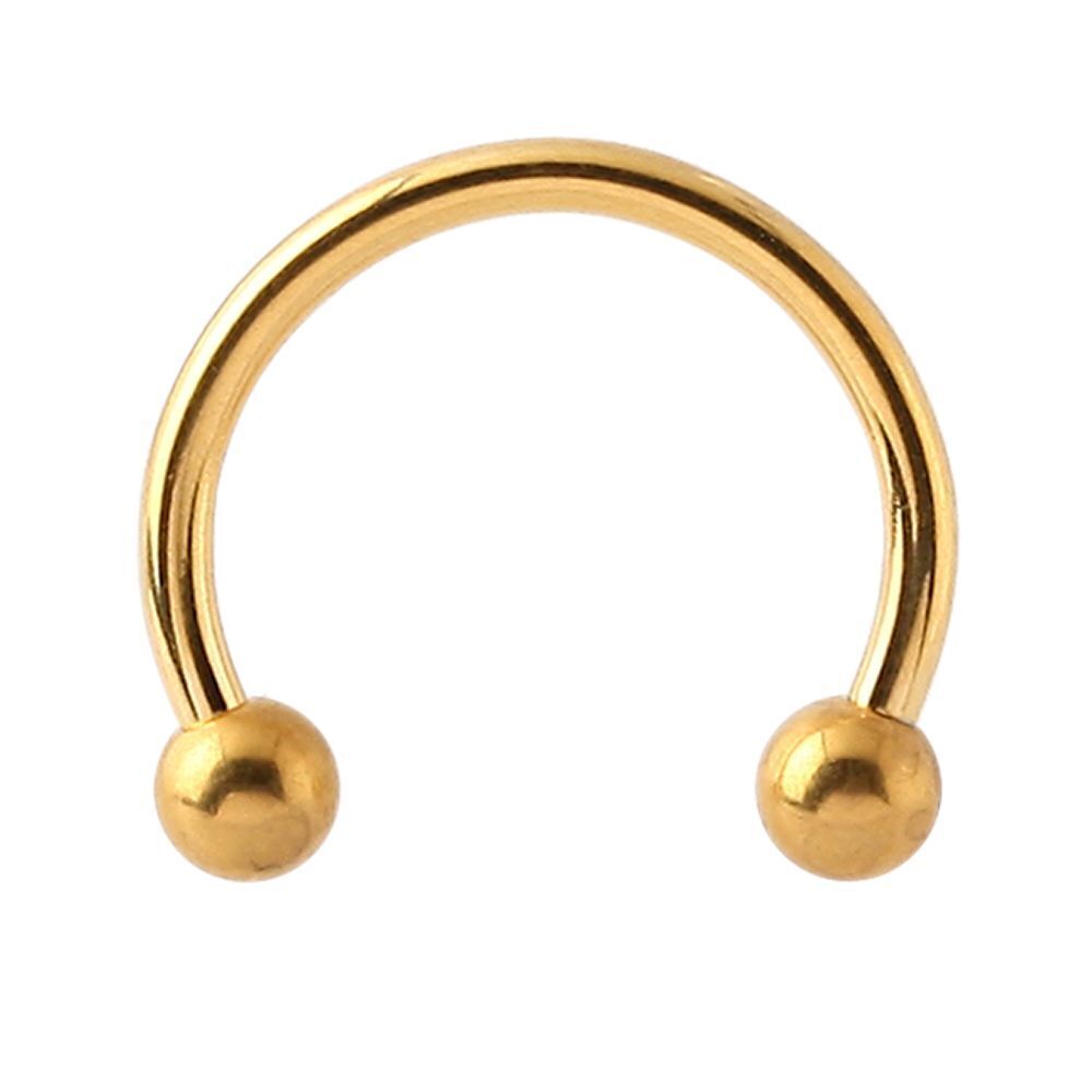 Gold shop circular barbell