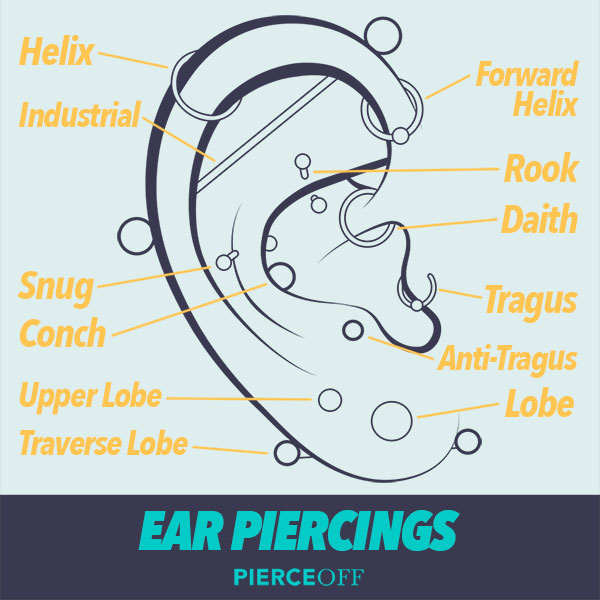 Type of ear piercings infographic (diagram of ear with piercings showing)