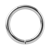Steel Basicline® Continuous Rings image