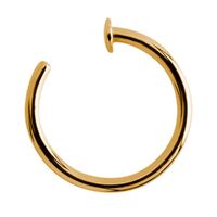 Bright Gold Open Nose Ring image