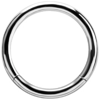 Chromium Finish Nickel Free Surgical Steel Hinged Segment Ring image