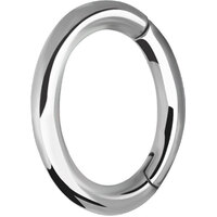 Surgical Steel Oval Hinged Rook Ring image
