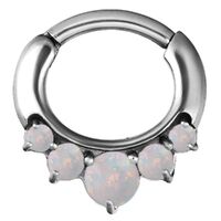 Steel Prong Set Opal Hinged Segment Clicker image