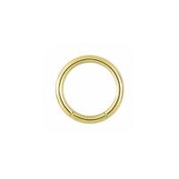 Titanium Zirconline® Smooth Segment Ring image