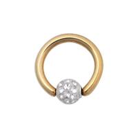 Titanium Zirconline® Multi Jewelled Sealed Ball Closure Ring image