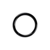 Titanium Blackline® Smooth Segment Rings image