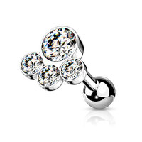 Steel Multi Disc Jewelled Barbell image