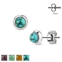 Pair of Surgical Stainless Steel Earrings Semi Precious Stones image