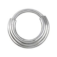 316L Steel Stacked Rings Hinged Clicker image