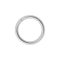 Titanium Highline® Smooth Segment Rings image
