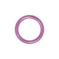 Titanium Highline® Smooth Segment Rings : 1.6mm (14ga) x 12mm x Purple