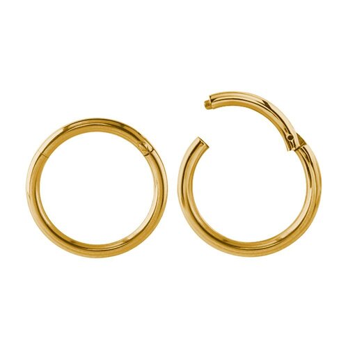  Bright Gold Hinged Segment Ring