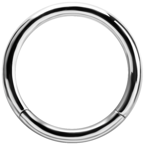 Chromium Finish Nickel Free Surgical Steel Hinged Segment Ring