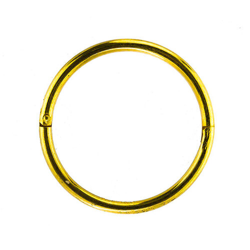  1/2 Smooth Hinged Hoop : Gold Plate