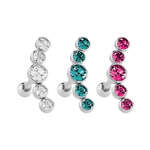  Stainless Steel Multi Disc Jewelled Barbell