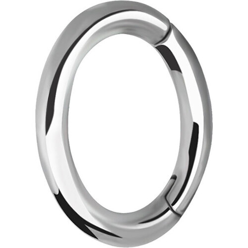  Surgical Steel Oval Hinged Rook Ring