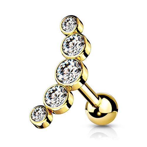  Steel Multi Disc Jewelled Barbell