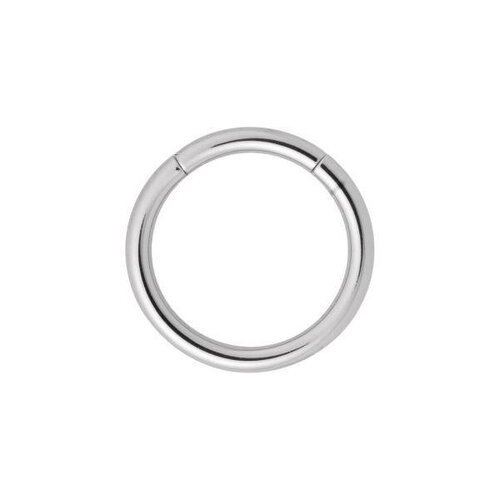  Titanium Highline® Smooth Segment Rings